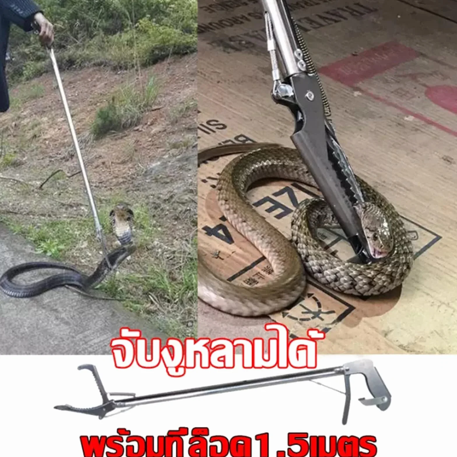 DERCLIVE Schlangenzange, 1,5 m, Reptilien-Greifer aus Edelstahl, gezahnt, breite Backen, Schlangenfänger, zusammenklappbares Design