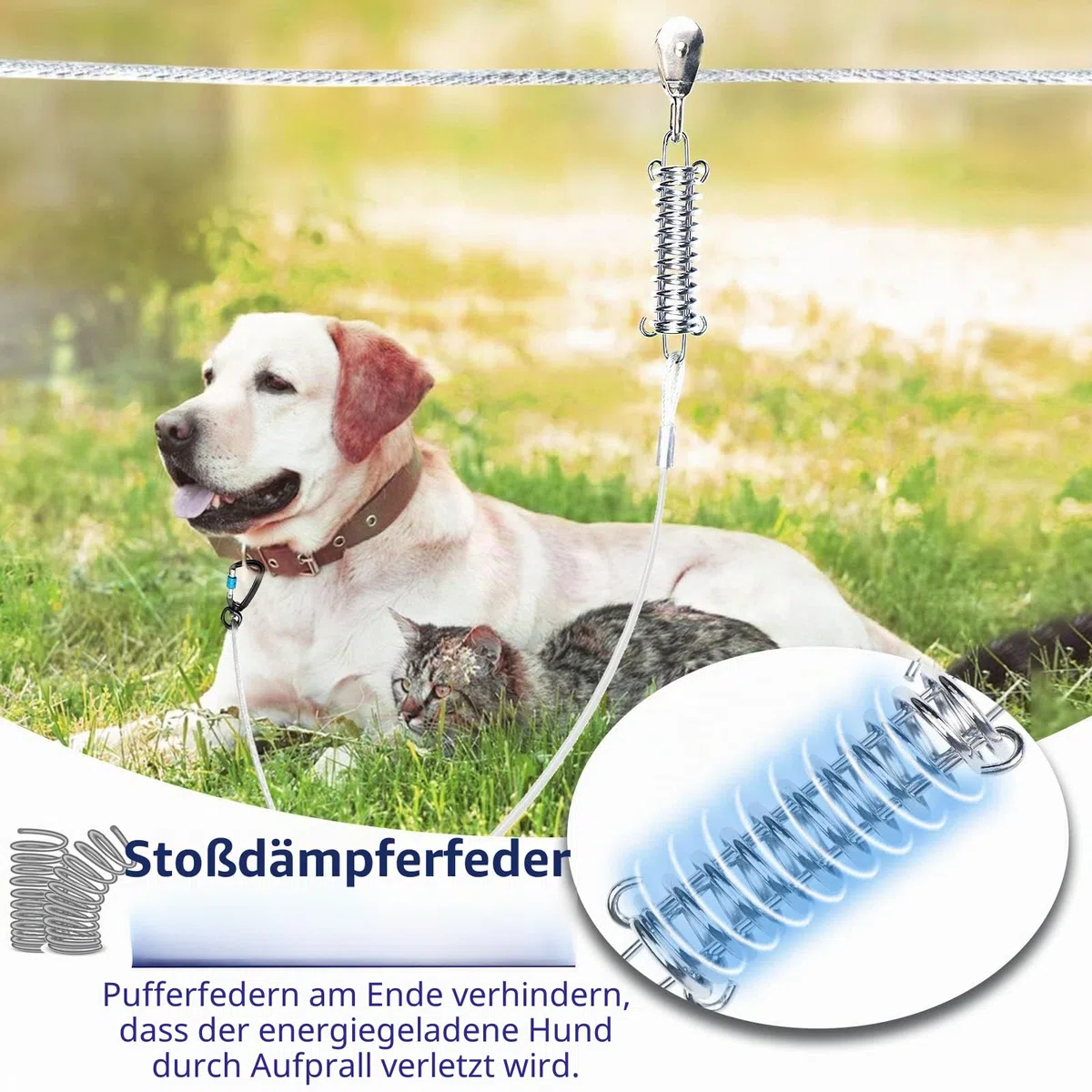 Hundeläufer für den Hof, Trolley-System für große Hunde, robuste Hundeleine, 36,6 m mit 3 m Seilzug, Laufleine für kleine, mittelgroße und große Hunde bis zu 113 kg, Laufen im Freien oder Camping