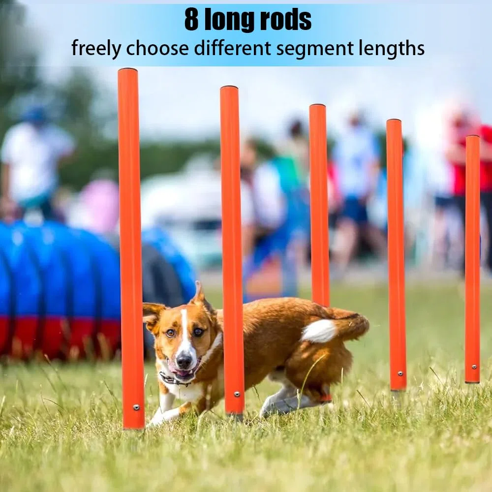 Agility Set Hunde Groß,Hindernisse Hobby Horsing,Agility-Trainingsausrüstung, Ausgestattet mit Hundetunnel,Hürden,8 Slalomstangen,2 Tennisballspielzeugen,Pausenbox, Markierungsstäben,3 Kurzen Stangen