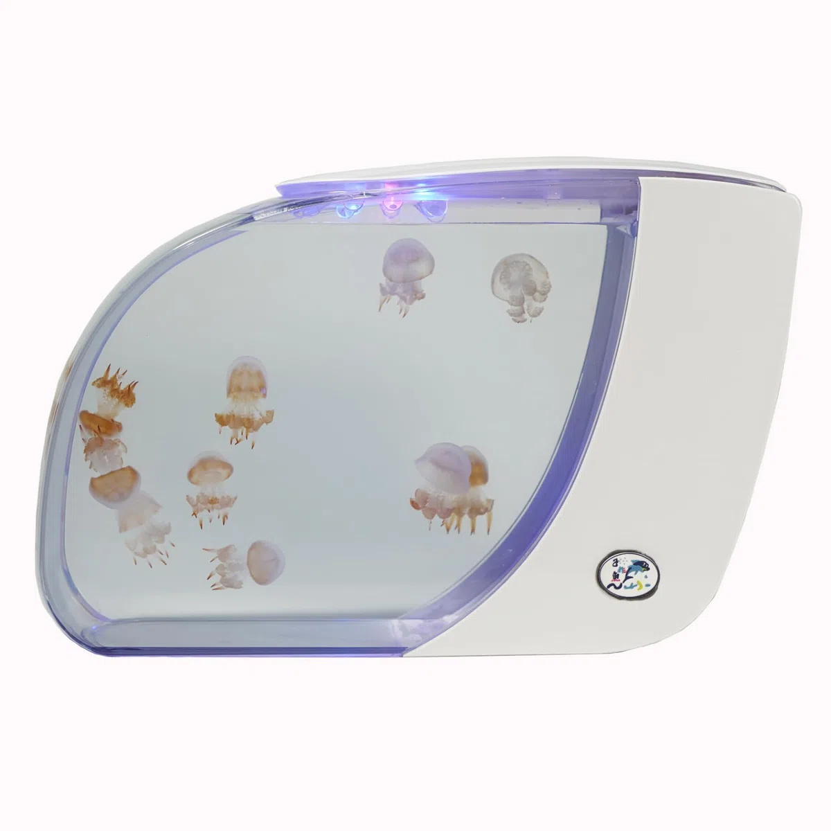 USB-Steckelektronik-Tank Desktop-Ökosystemaquarium mit 270 randloser ultraklarem Sicht intelligente Beleuchtung wissenschaftliche Filtration geräuschlose energiesparende Betrieb Tropf