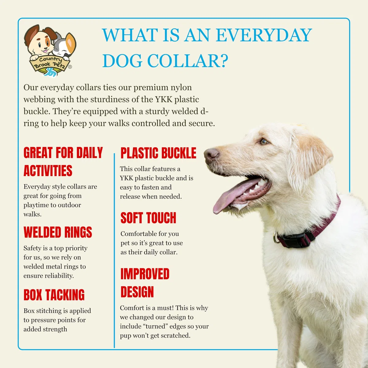 Country Brook Petz Hundehalsband, Nylon, hergestellt in den USA mit Schnalle, Größe M, 1,9 cm breit, Burgunderrot, 32 leuchtende Farben