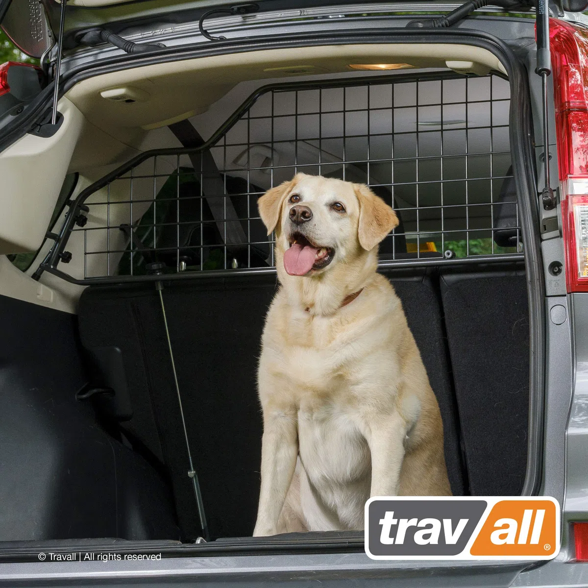TRAVALL Hundegitter für Renault Espace (2015-2023) fahrzeugspezifisches Trenngitter Auto Kofferraum Auto Hundegitter aus Stahl für sicheren Transport TDG1526