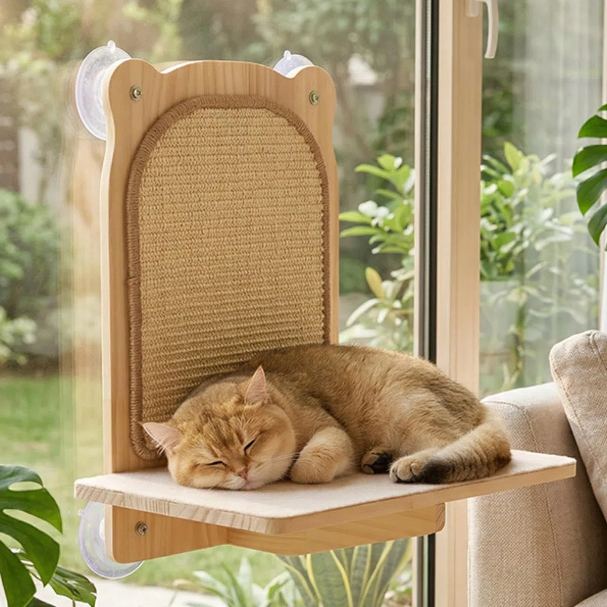 Katze mit Saugnäpfen, Aus [Material], Einfach zu Montieren, Stilvoll für Kätzchen