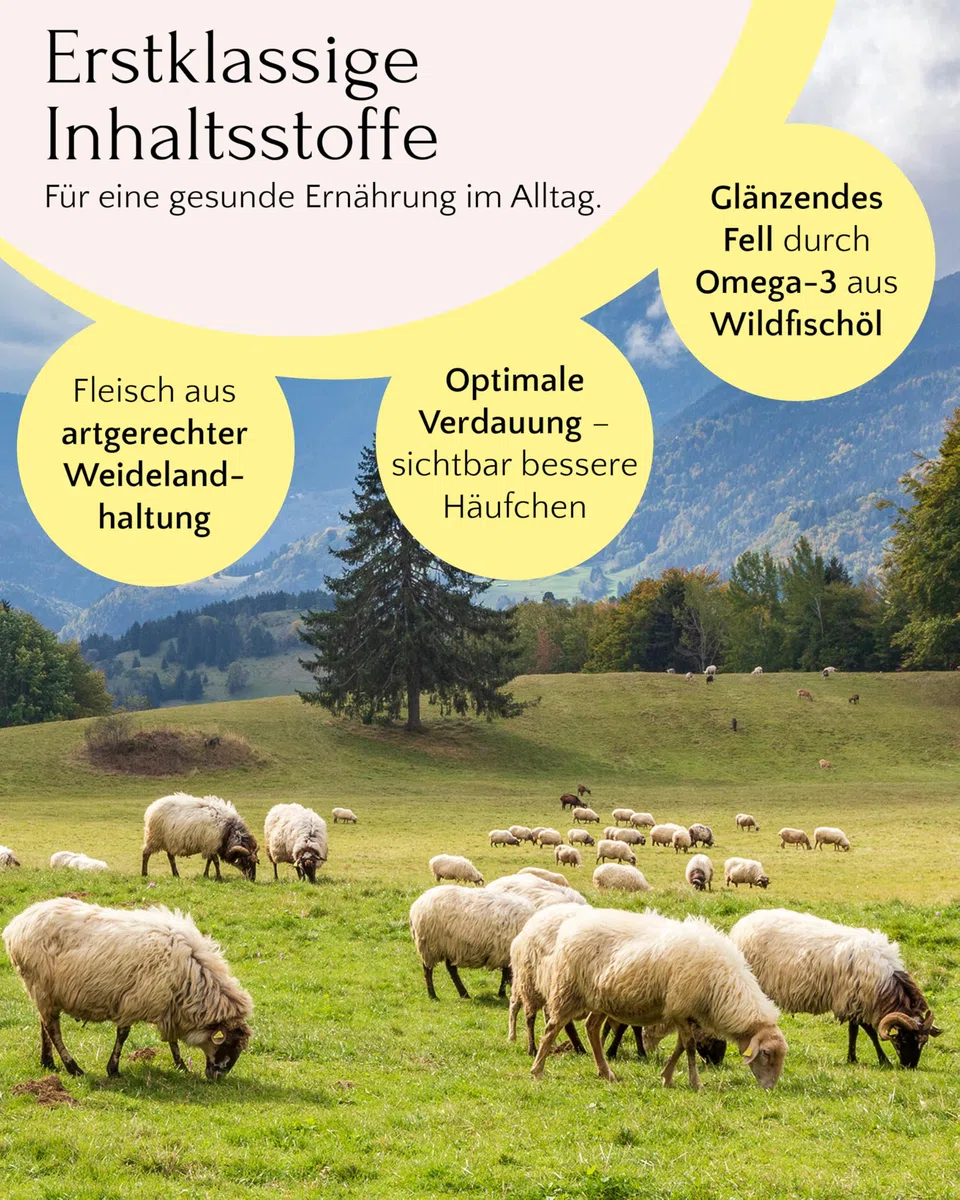 FAVLY – Weidelamm Trockenfutter für Hunde 12kg – kaltgepresst & glutenfrei – mit Rote Beete, Karotte & Hanföl – Monoprotein für Allergiker & Sensible Hunde – hoher Fleischanteil & ohne Zusätze