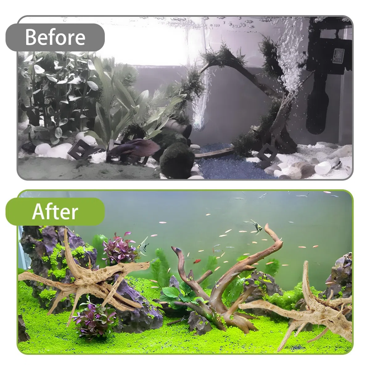 Tfwadmx Natürliches Treibholz für Aquarium, 15,2–20,3 cm, 4 Stück, Holz, Aquarium-Dekorationen, Aquarium, Reptilien, Baumzweige, Verschiedene Spinnenzweige