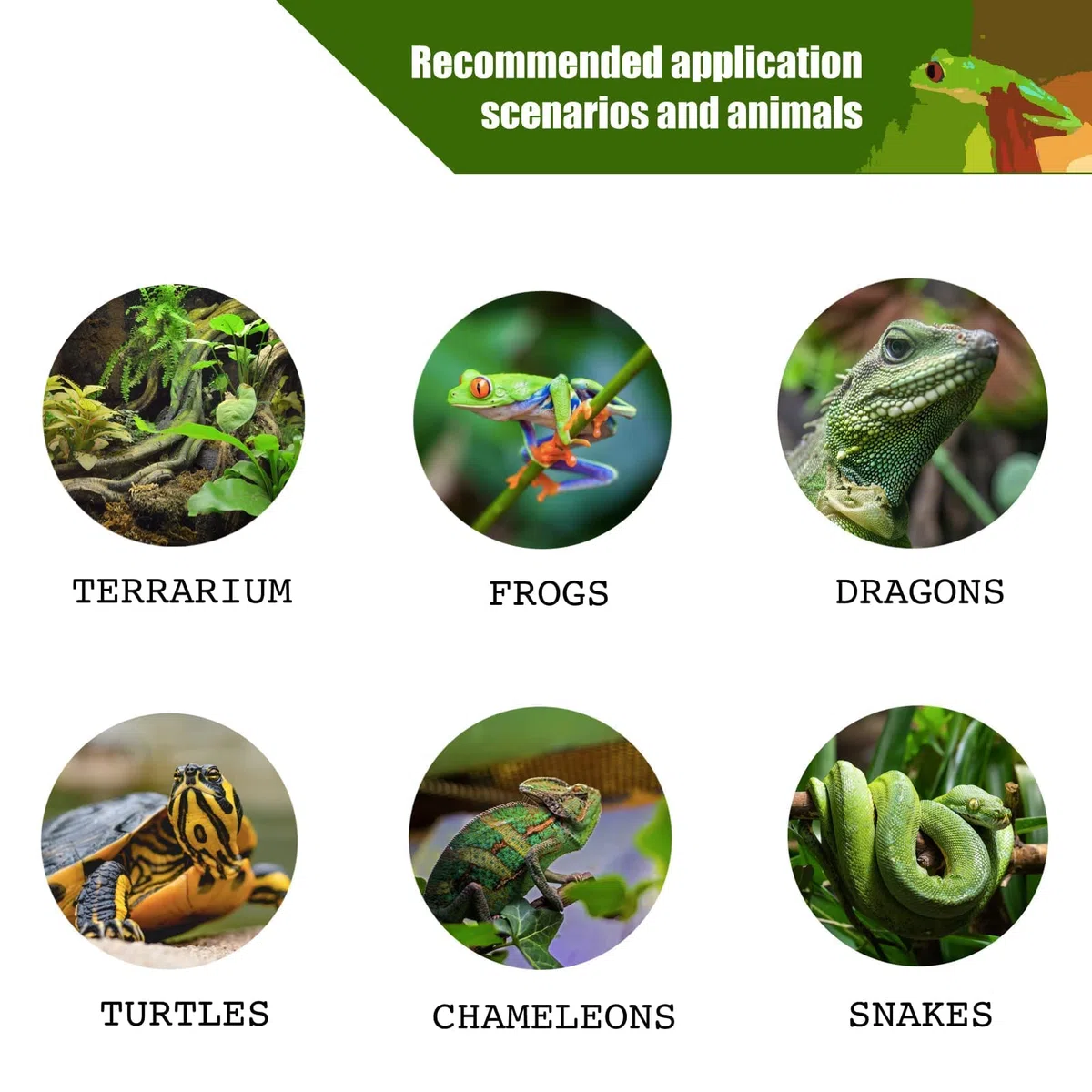 MRREPTILE Reptiliennebel, Nebelsystem für Reptilien Terrarium, Mister für Chamäleon Schildkröte Eidechse, MS200 Mister Neue Version, Tank Mister