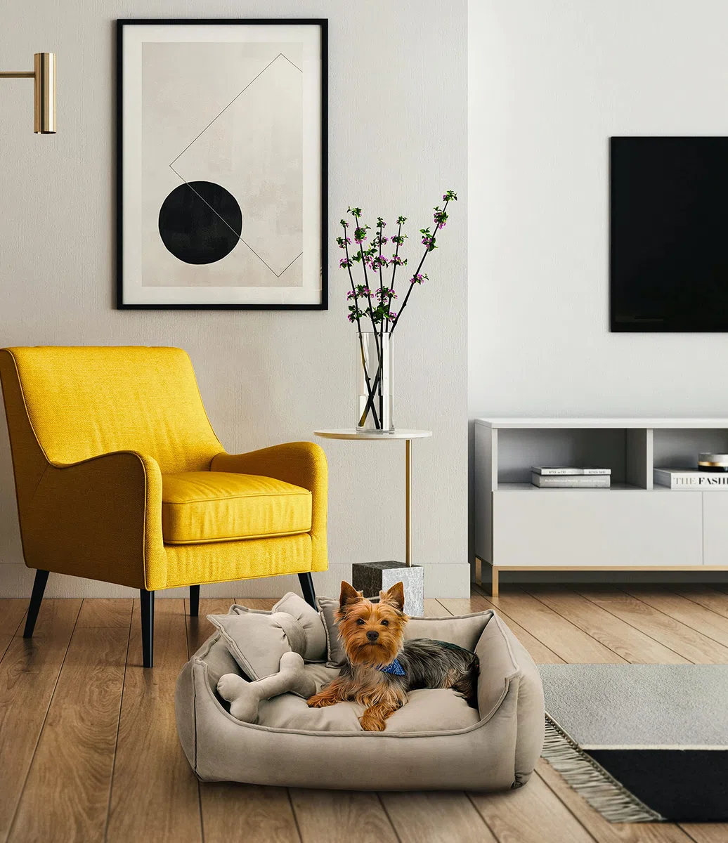 NELKE Hundebett Beige Hundekorb kuschelig Hundekörbchen im Scandynavian Stil Hundesofa Hochwertige Hundecouch mittelgroße und kleine Hunde waschbar Hundekissen