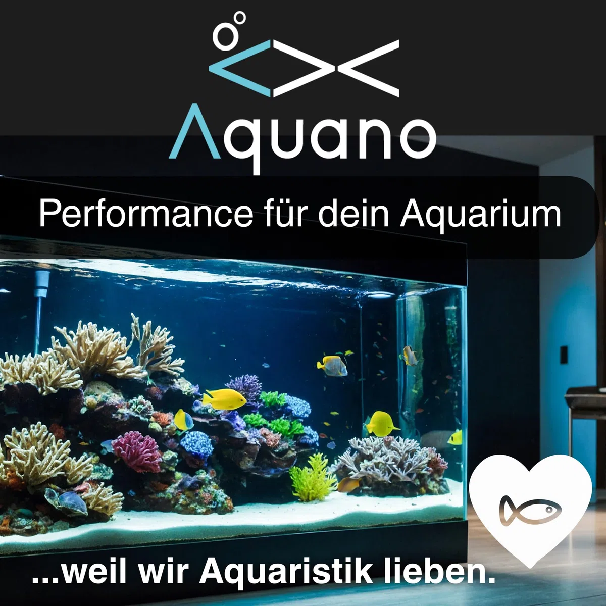 Care Fish 1000ml – Pflanzliches Pflegepräparat für Zierfische | Fördert freie Kiemen & gesunde Darmflora | Beruhigt gestresste Fische | Für Süß- & Meerwasser | Made in Germany
