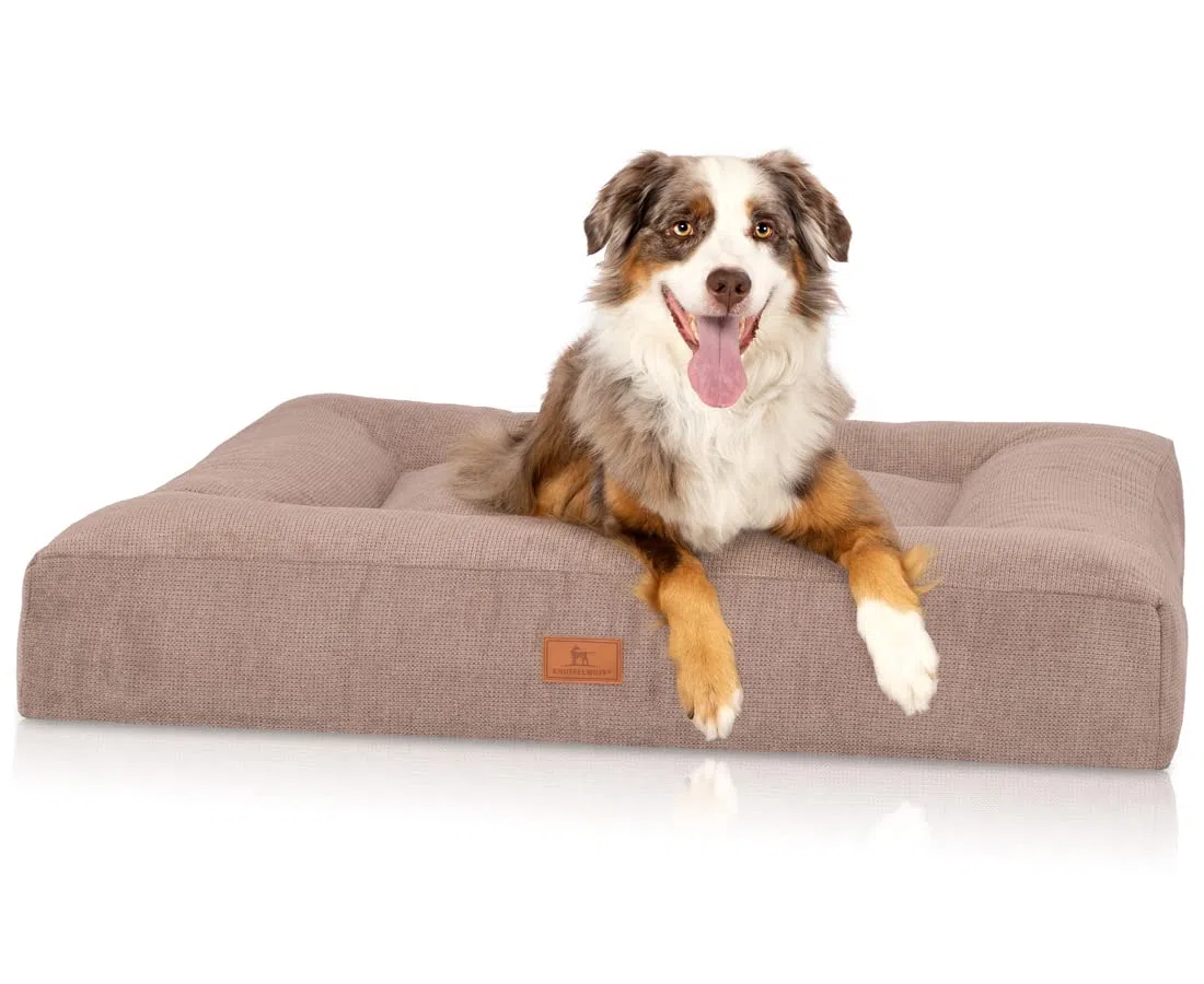 Knuffelwuff orthopädisches Hundebett aus kuscheligem Velours mit Handwebcharakter Sofia 80 x 60cm Beige - Abnehmbarer Bezug - waschbar - für große, mittelgroße und kleine Hunde