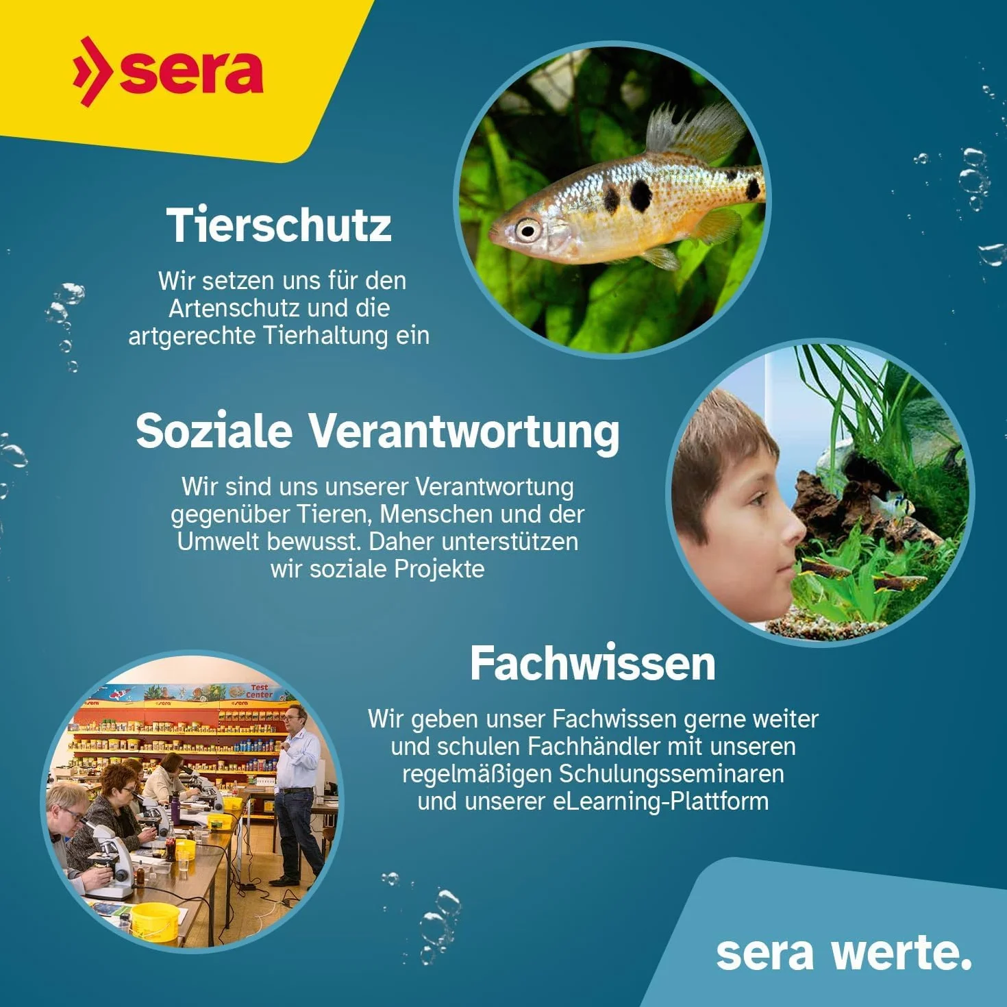 sera Vipan Flakes XL 21L (4kg) | Fischfutter Aquarium für Zierfische | Flockenfutter Aquarium | Fischfutter Flocken mit 4% Insektenmehl | Naturnahe Ernährung | Fördert Gesundes Wachstum