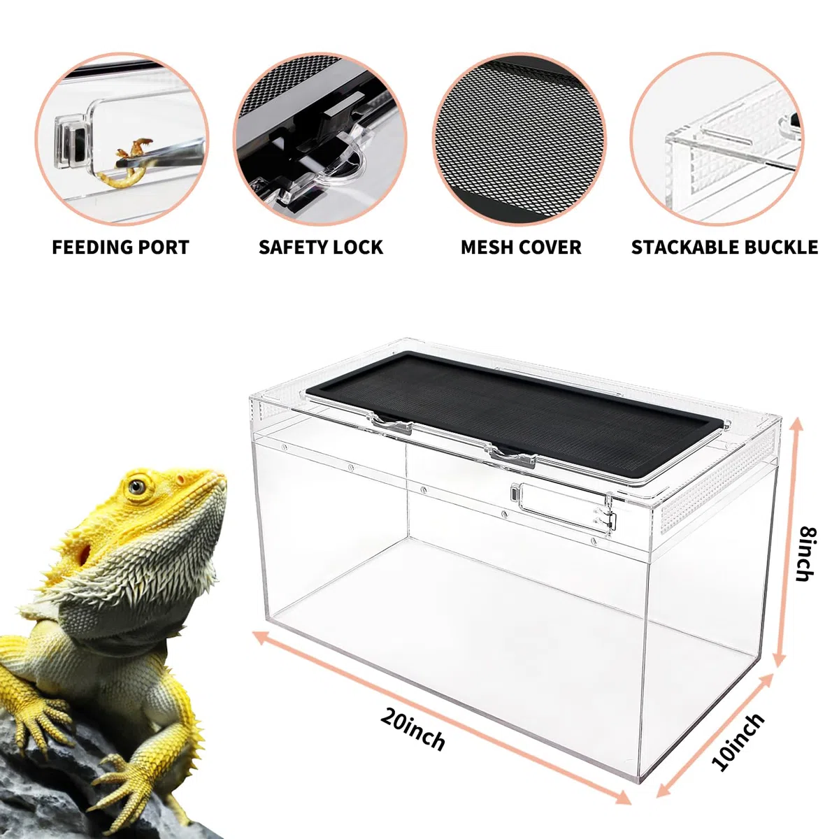 Reptile Growth Reptilien-PC-Terrarien-Set, Reptilienbecken 50 x 25x 20 cm, für Insekt, Fisch, Tarantel, Einsiedlerkrebs, Springspinne, Leguan, Schildkröte, Leopardgecko, Frosch, Bartagame