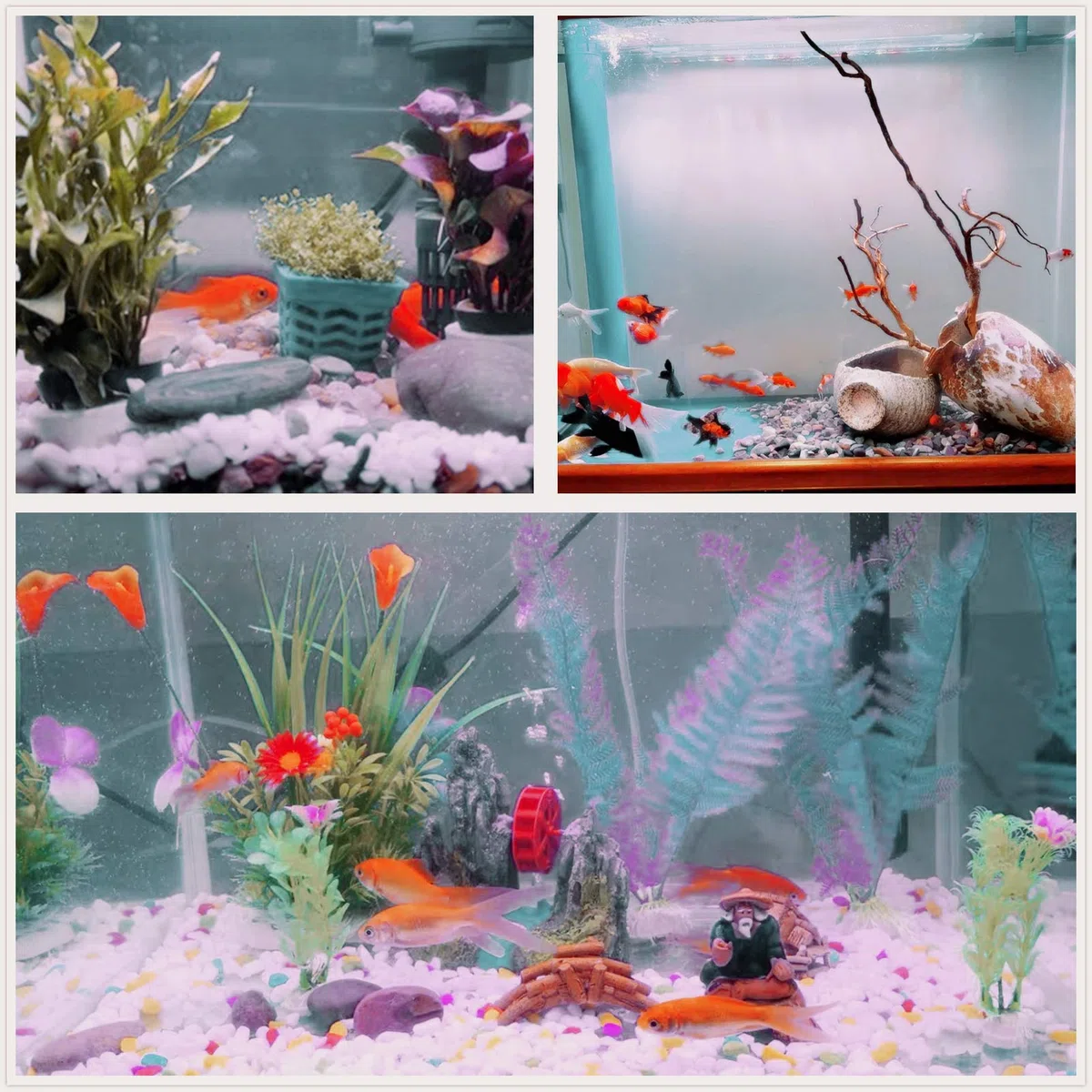 Kieselsteine, poliert, Aquariumkies, Flussfelsen, natürliche, dekorative polierte weiße Steine, 0,95 cm Kiesgröße, kleine Kiessteine für Pflanzen, Heimdekoration, Landschaftsbau, Vasenfüller und mehr.