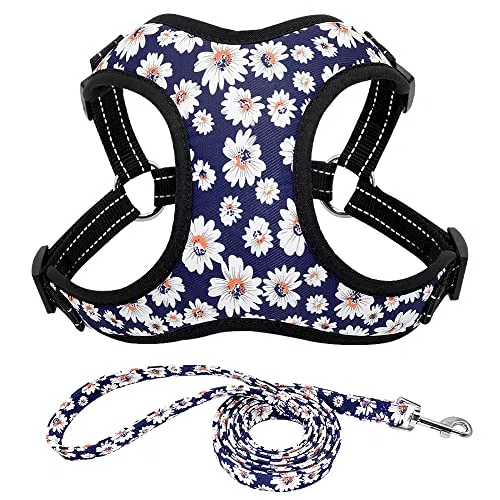 Modisch Bedruckte Nylon-Hundegeschirr-Weste, reflektierend, kein Ziehen, Hundegeschirr-Leine-Set für kleine, mittelgroße Hunde, Katzen, französische Bulldogge