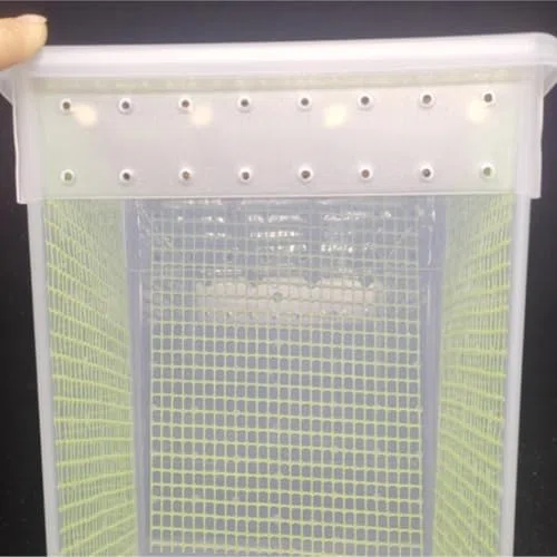 Belüftete Mantel-Terrarium-Box, transparenter Insekten-Zucht-Käfig mit sicherem Deckel für Spinne, Echsen- und kleine Haustierbeobachtung, einfach sauberes Plastikgehäuse Home Habitat, weiß