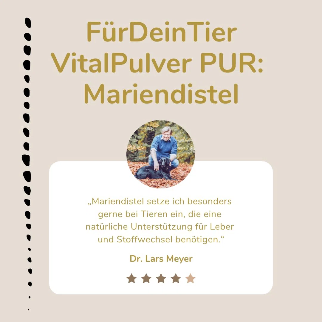 Für Dein Tier VitalPulver Pur | 100% Mariendistel (1 x 1,5 kg) | Silybum marianum Pulver mit 80% Silymarin | Ergänzung der Fütterung für Hunde, Katzen und Pferde | Unterstützt die Leberfunktion