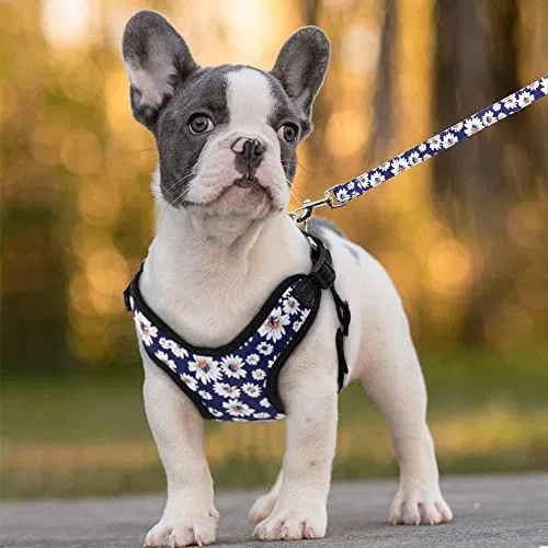 Modisch Bedruckte Nylon-Hundegeschirr-Weste, reflektierend, kein Ziehen, Hundegeschirr-Leine-Set für kleine, mittelgroße Hunde, Katzen, französische Bulldogge