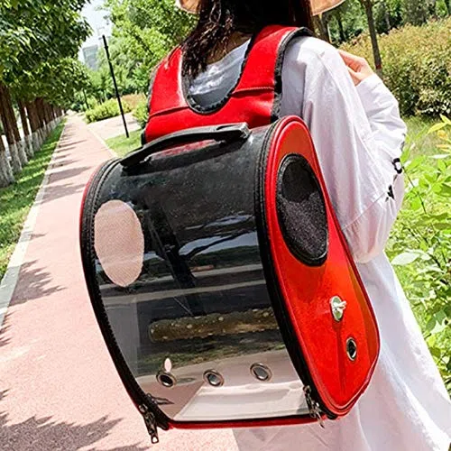 Haustier-Papagei-Rucksack, Tragekäfig, Katzen, Hund, Outdoor-Reise, atmungsaktiv, Vogel, Kanarienvogel, wasserdichte Transporttasche, Vogelzubehör (Color : D)