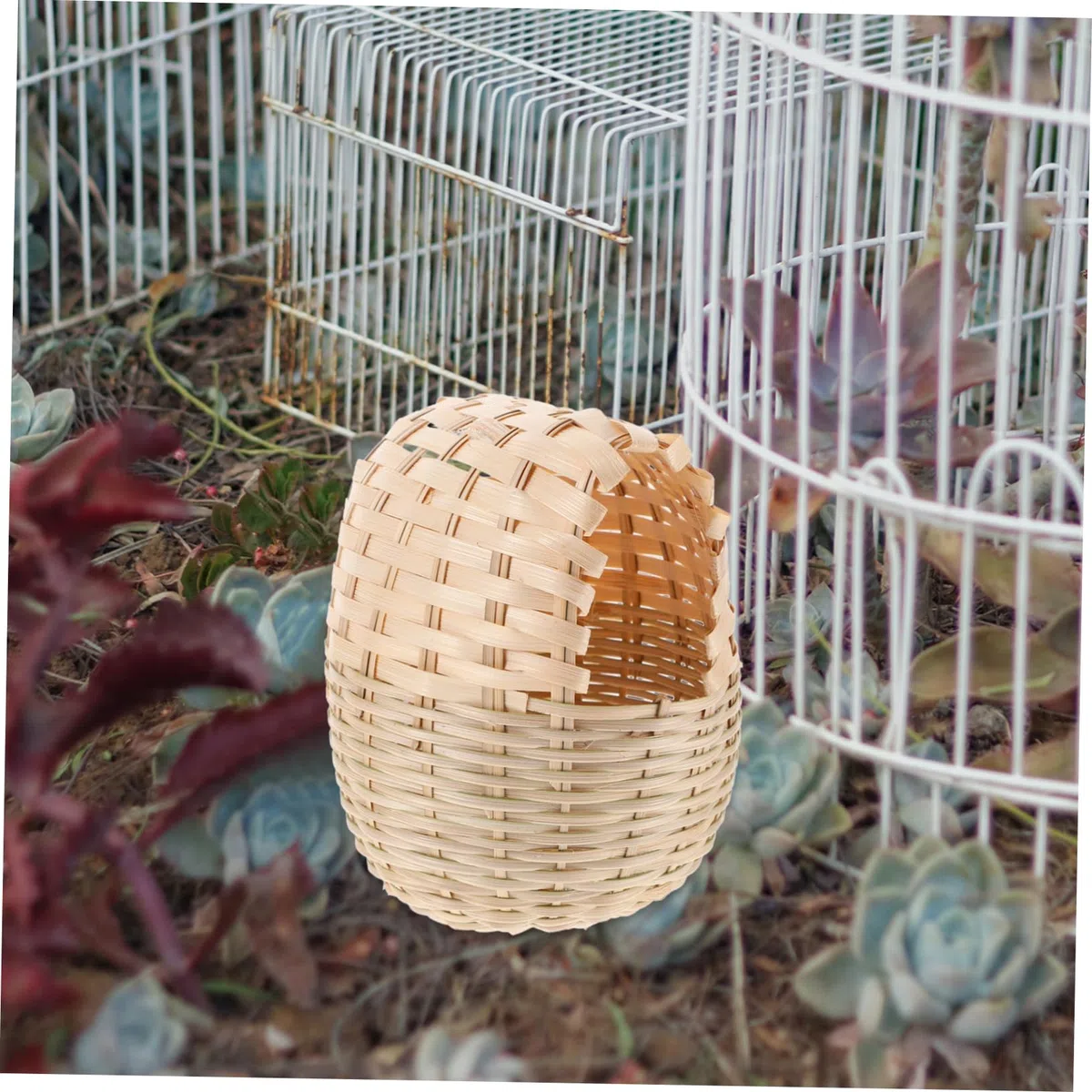 5 Stück Vogelkäfiglampenschatten -aufbewahrungsbox Zubehör Für Vogelkäfige Vogeldekoration Nest Gewebte Vogelstütze Vogelschlafhaus Vogel Ruheplatz Bambus