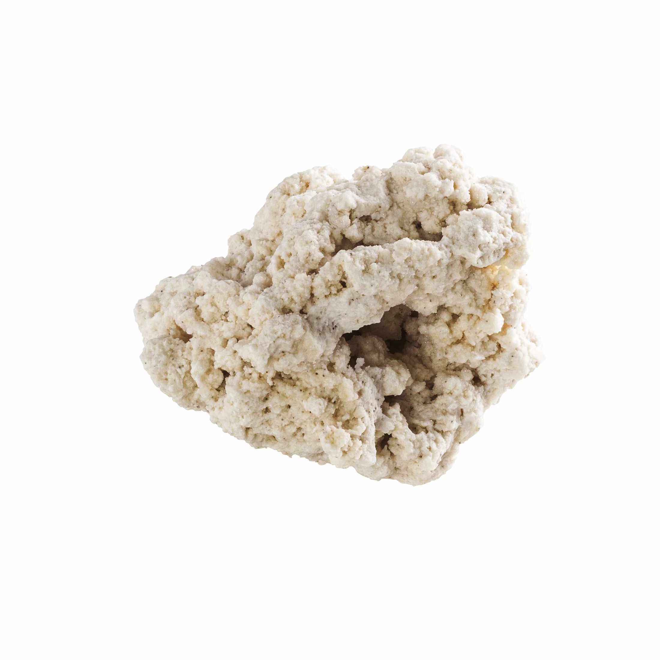 Riffgestein groß Meerwasseraquarium 25-40 cm 20 kg - myReef-Rocks Aragonit | natürliches Aragonitgestein, porös, schadstoffrei, für Riffaufbau, Bakterienbesiedlung, Aquascaping, Riffaquarium, Meerwasser
