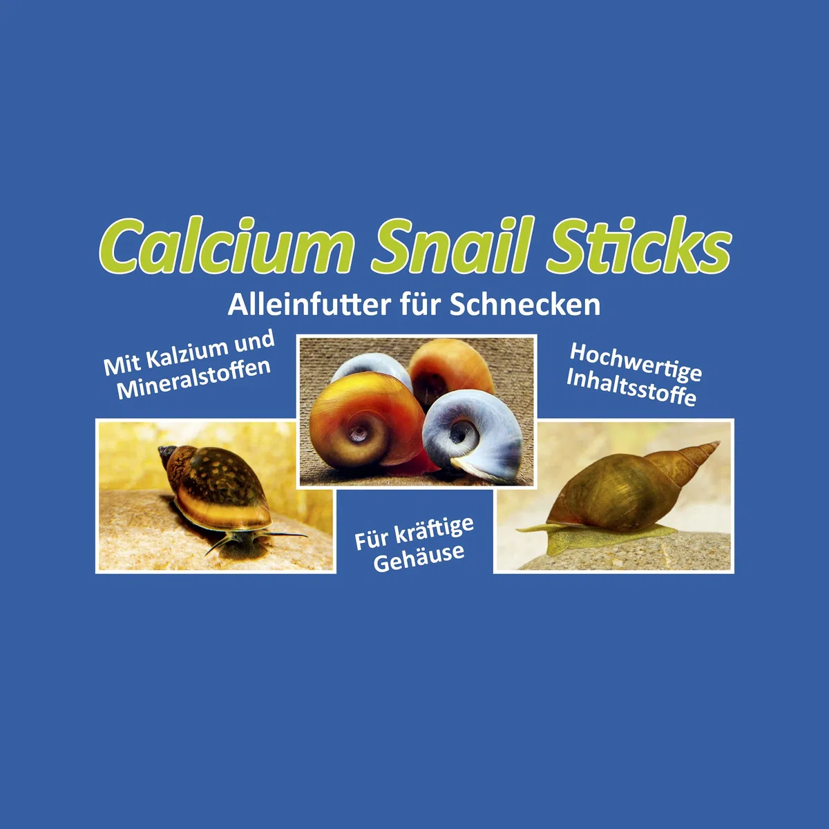 Calcium Snail Sticks - Futtersticks für Schnecken als Alleinfutter mit Kalzium und Vitaminen für kräftige Schneckenhäuser, 45g