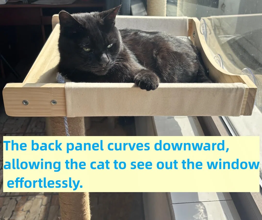 Katzenfensterstange mit Kratzbaum, stark gestützt - Großes Hängemattenbett für Katzen im Inneren - Massivholzsitz, weiches Kissen - Rustikales Indoor-Katzenbaumregal zum Sonnenbaden (Natur, Groß 2)