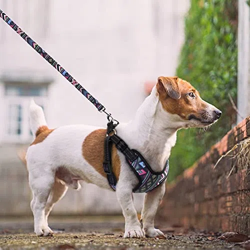 Modisch Bedruckte Nylon-Hundegeschirr-Weste, reflektierend, kein Ziehen, Hundegeschirr-Leine-Set für kleine, mittelgroße Hunde, Katzen, französische Bulldogge
