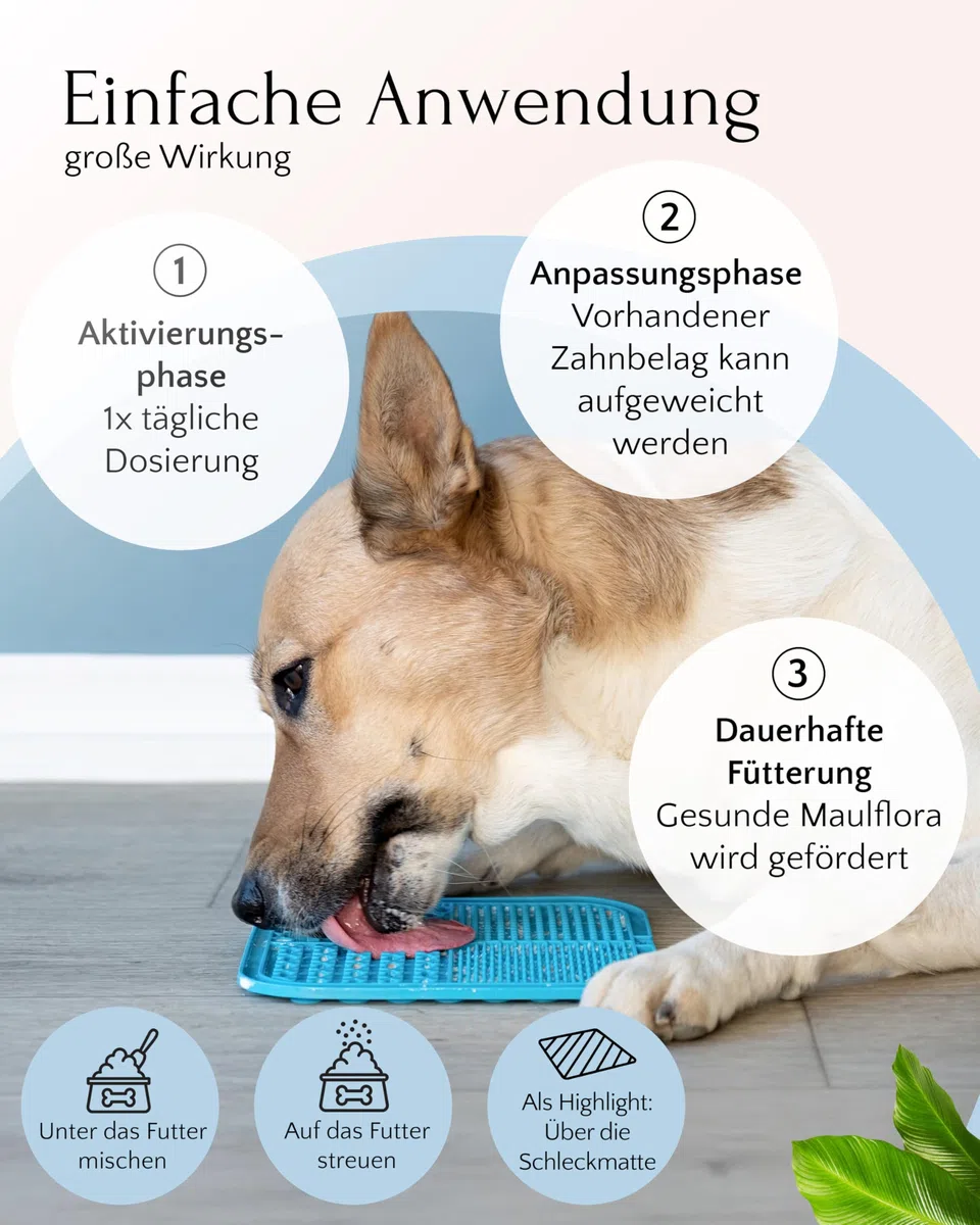 FAVLY – DENTAL Zahnpflege Pulver für Hunde 250g – Ergänzungsfuttermittel Zahnpulver Topping Hund gegen Maulgeruch & Zahnbelag – mit Bio-Chlorella & Salbei – ohne Getreide & Zusätze
