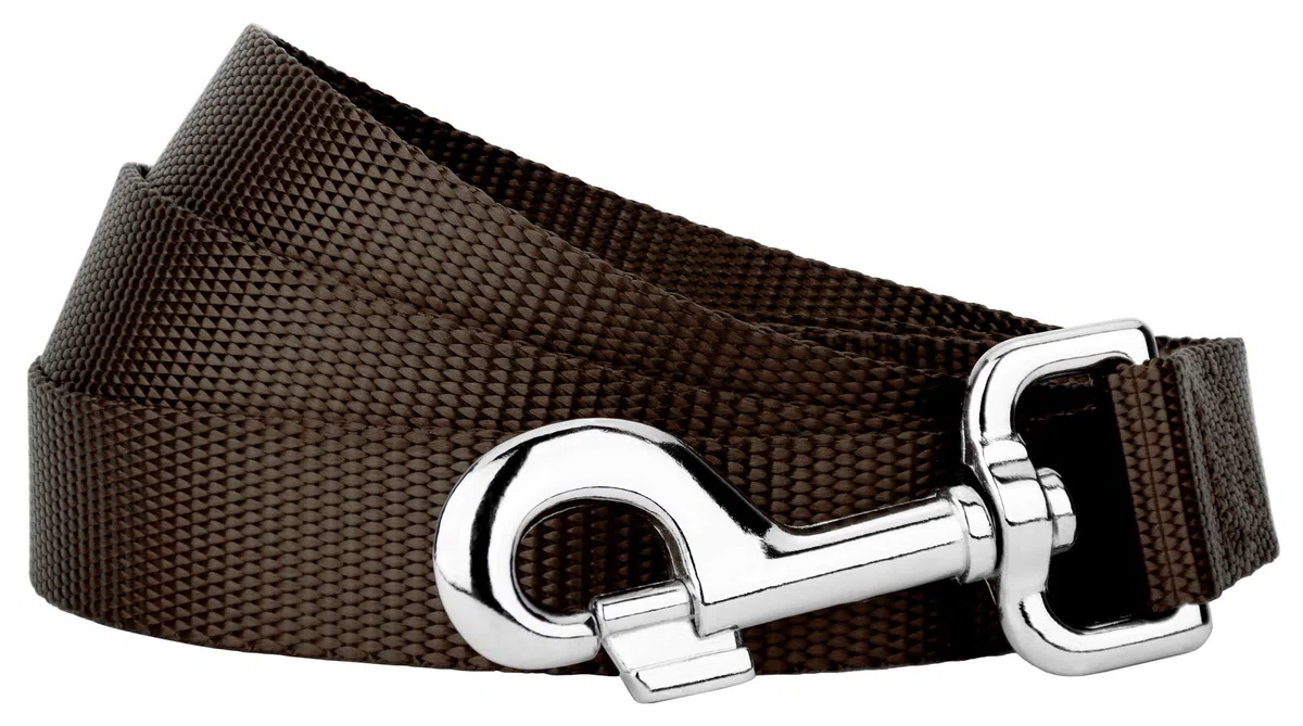 Country Brook Petz Hundeleine, Nylon, robust, langlebig, traditioneller Stil mit einfach zu bedienendem Schnappverschluss, in 25 Farben erhältlich (2,5 cm breit, 1,2 m, braun)