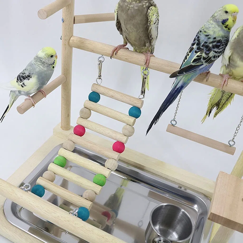 Papagei Spielplatz Ständer - Interaktives Vogelspielzeug mit Schaukel zum Klettern und Spielen - Ideal für Sittiche und Finken Haustierbedarf