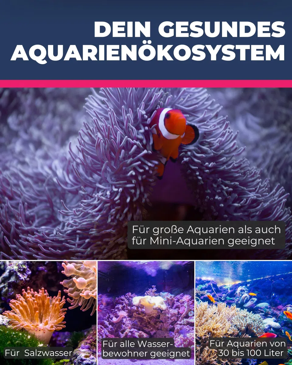 Dupla Marin Multireaktor I 4.000 ml I Aquarium Filterung flexibel für Salz- & Süßwasser I Hochleistung für aquatische Biotope I Effiziente Wasseraufbereitung I Ideales Zubehör für Aquarien