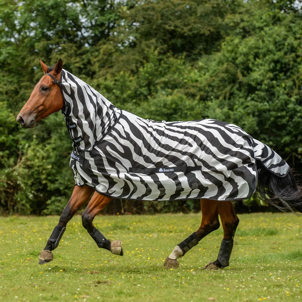 Bucas Buzz-Off Fliegendecke Zebra Full-Neck, 145
