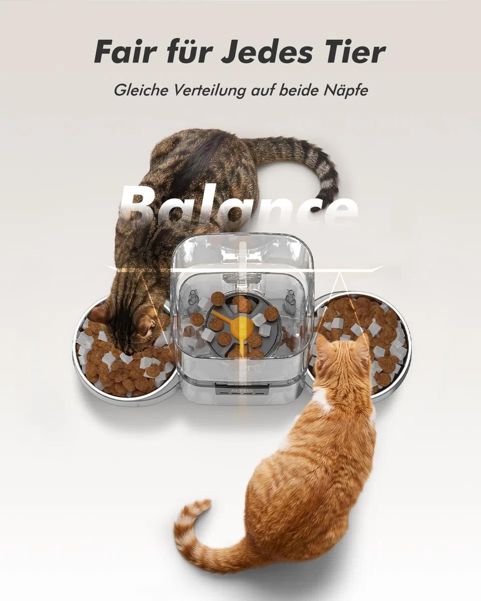 Futterautomat Katze 2 Näpfe für Katzen & Hunde, mit 2 Edelstahlnäpfen | 8L katzenfutterautomat, 2-18mm Trockenfutter, bis zu 50 Portionen 6 Mahlzeiten pro Tag, 10s Sprachaufzeichnung, Frischhaltung
