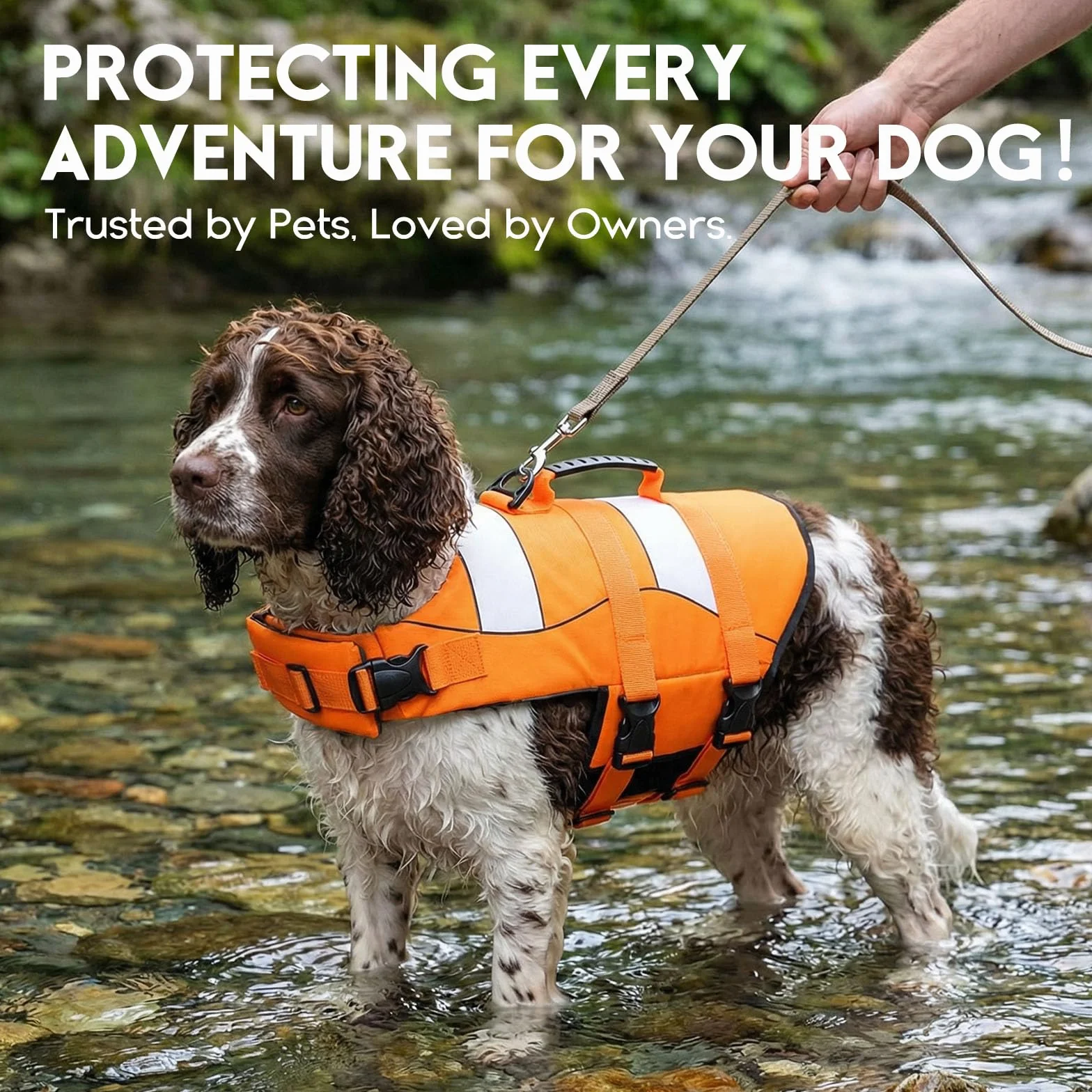 ASENKU Schwimmweste Hund,Hundeschwimmweste S für kleine Hunde – Rettungsgriff & Auftrieb, Sicherheitsweste mit verstellbarem Brustgurt + Reflektor, für Bootfahren, Baden und Wassersport