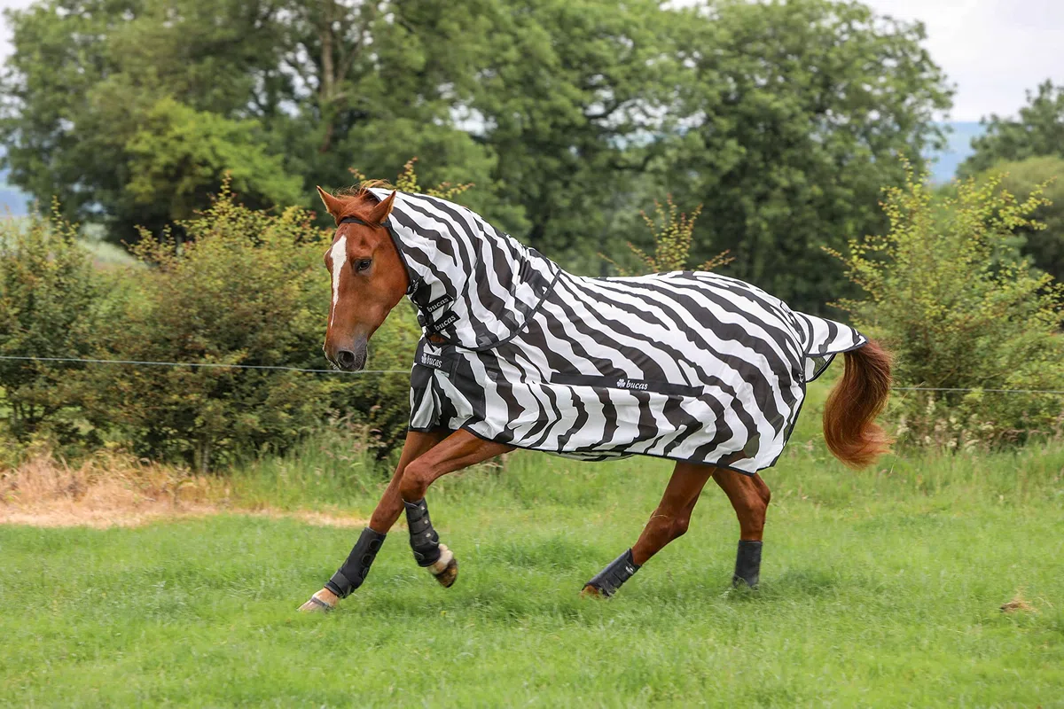Bucas Buzz-Off Fliegendecke Zebra Full-Neck, 165