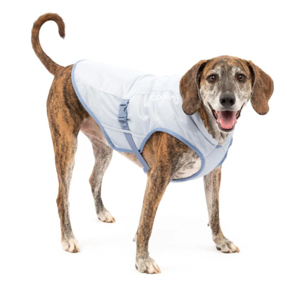 Kurgo Hundekühlweste - Sommer-Kühljacke - Hundemantel kompatibel mit Geschirr - Reflektierende Akzente - Grau - L
