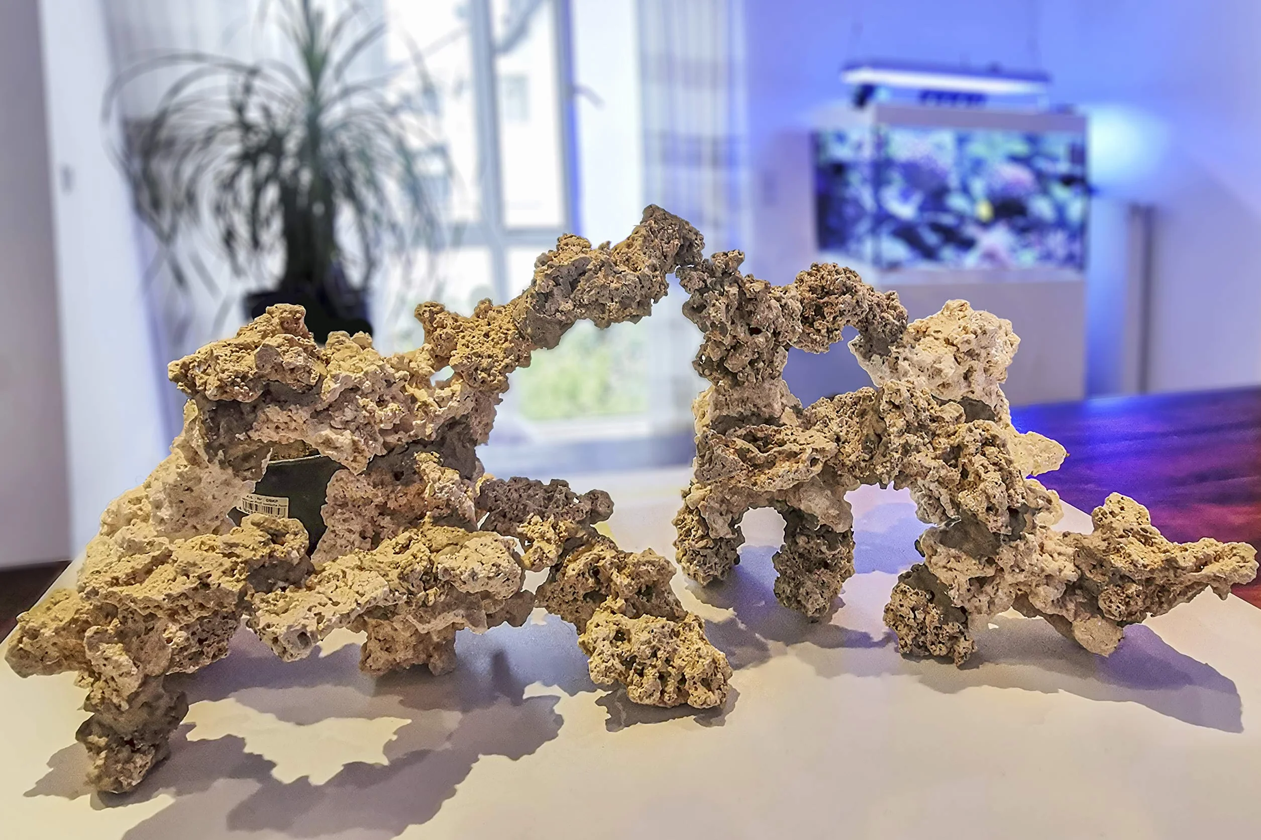 Riffgestein groß Meerwasseraquarium 25-40 cm 20 kg - myReef-Rocks Aragonit | natürliches Aragonitgestein, porös, schadstoffrei, für Riffaufbau, Bakterienbesiedlung, Aquascaping, Riffaquarium, Meerwasser