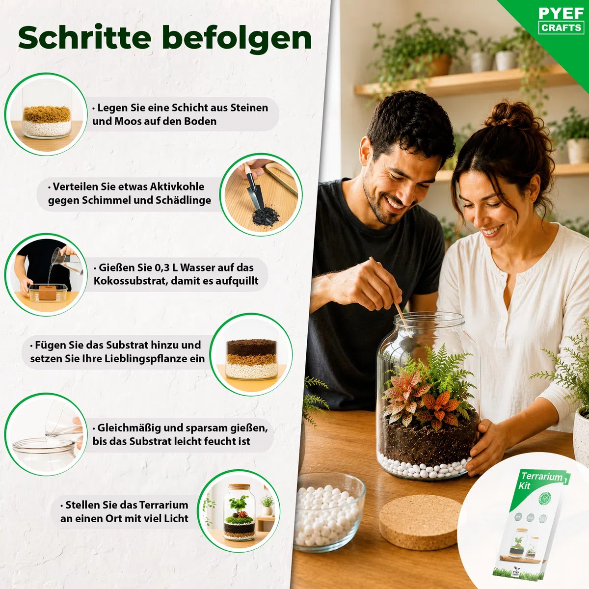 Flaschengarten Komplettset XL für Ökosystem im Glas - 4L Terrarium Pflanzen für Biotop Im Glas - Biosphäre Terrarium Set - Kit Ohne Pflanze (Flaschengarten Groß 4L)