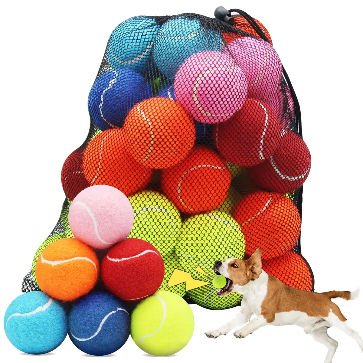 Swingers Quietschende Tennisbälle für Hunde, 6,3 cm, Trainingsball für Haustiere, Hunde, mit Netz-Tragetasche, leicht zu transportieren (mehrfarbig, 60 Stück)