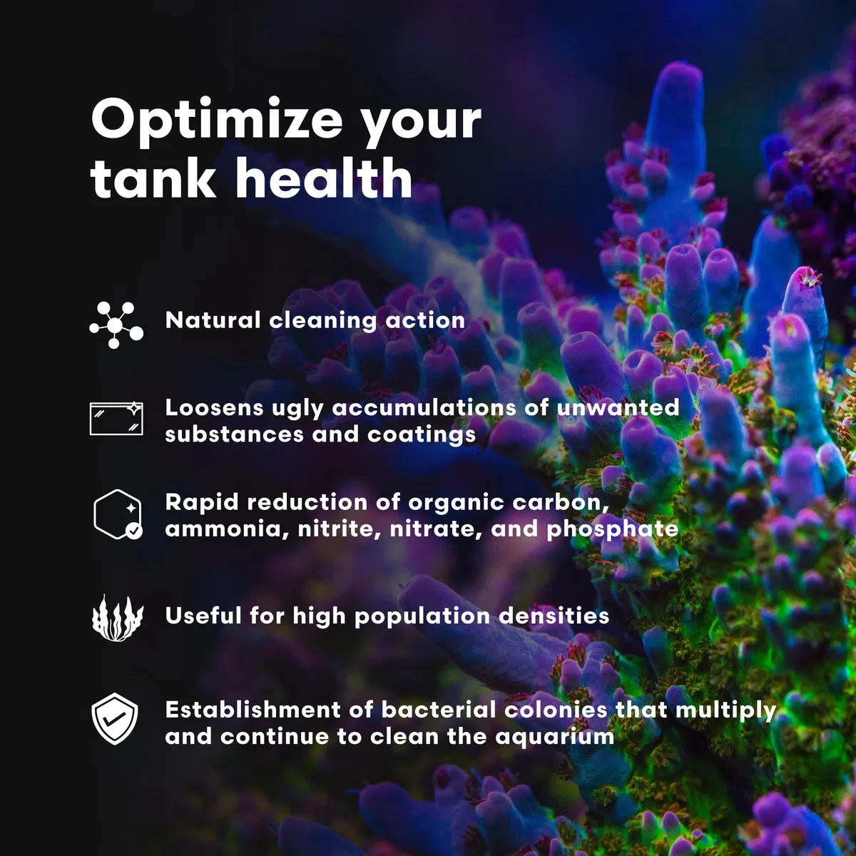 Brightwell Aquatics MicroBacter Clean Marine Aquarium-Reinigungshilfe, 20 l