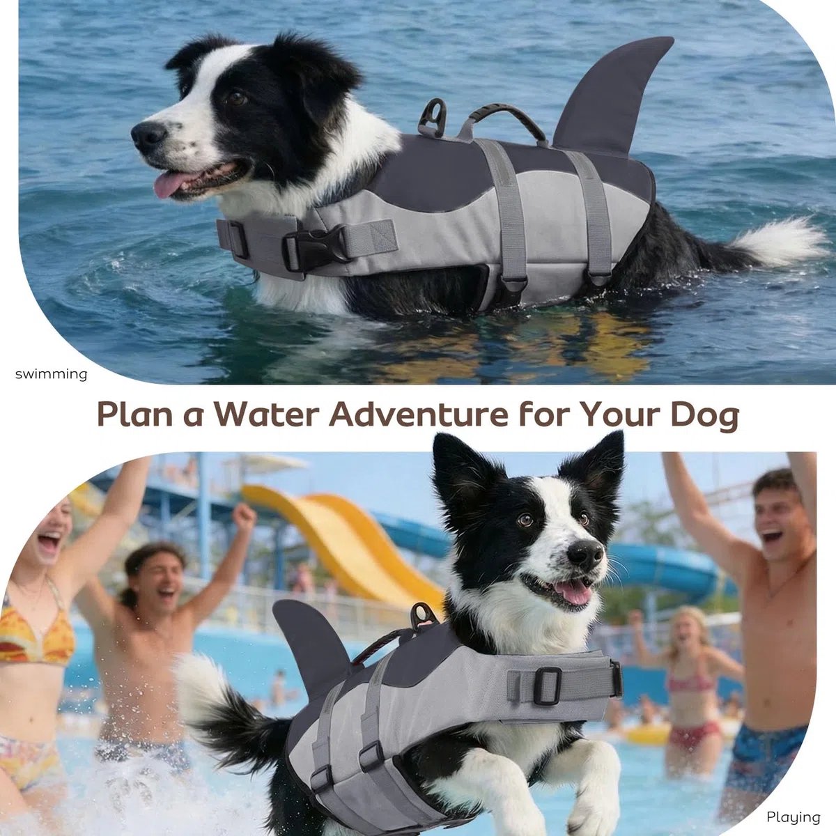 CITÉTOILE Schwimmweste Hund Hai, Hundeschwimmweste & Dog Life Jacket Verstellbar mit Griff und Reflektoren, Rettungsweste für Kleine Mittel Große Hunde & Welpen zum Schwimmen, Bootfahren, Surfen