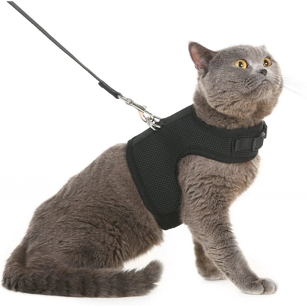 PUPTECK Katzengeschirr und Leine, weiches Netzgewebe, gepolstert, ausbruchsicher, für Katzen, kleine Hunde, Kaninchen, Hasen, Schwarz
