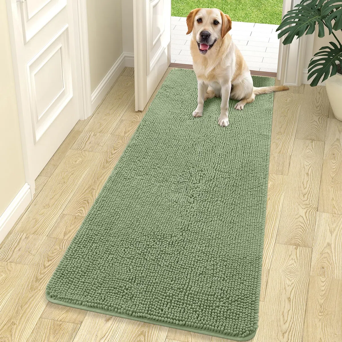 OLANLY Hundematte für schlammige Pfoten 70x24 cm absorbiert Feuchtigkeit und Schmutz, saugfähige rutschfeste waschbare Fußmatte, schnelltrocknende Chenille Schlammmatte, Eingang Indoor Eingangsteppich