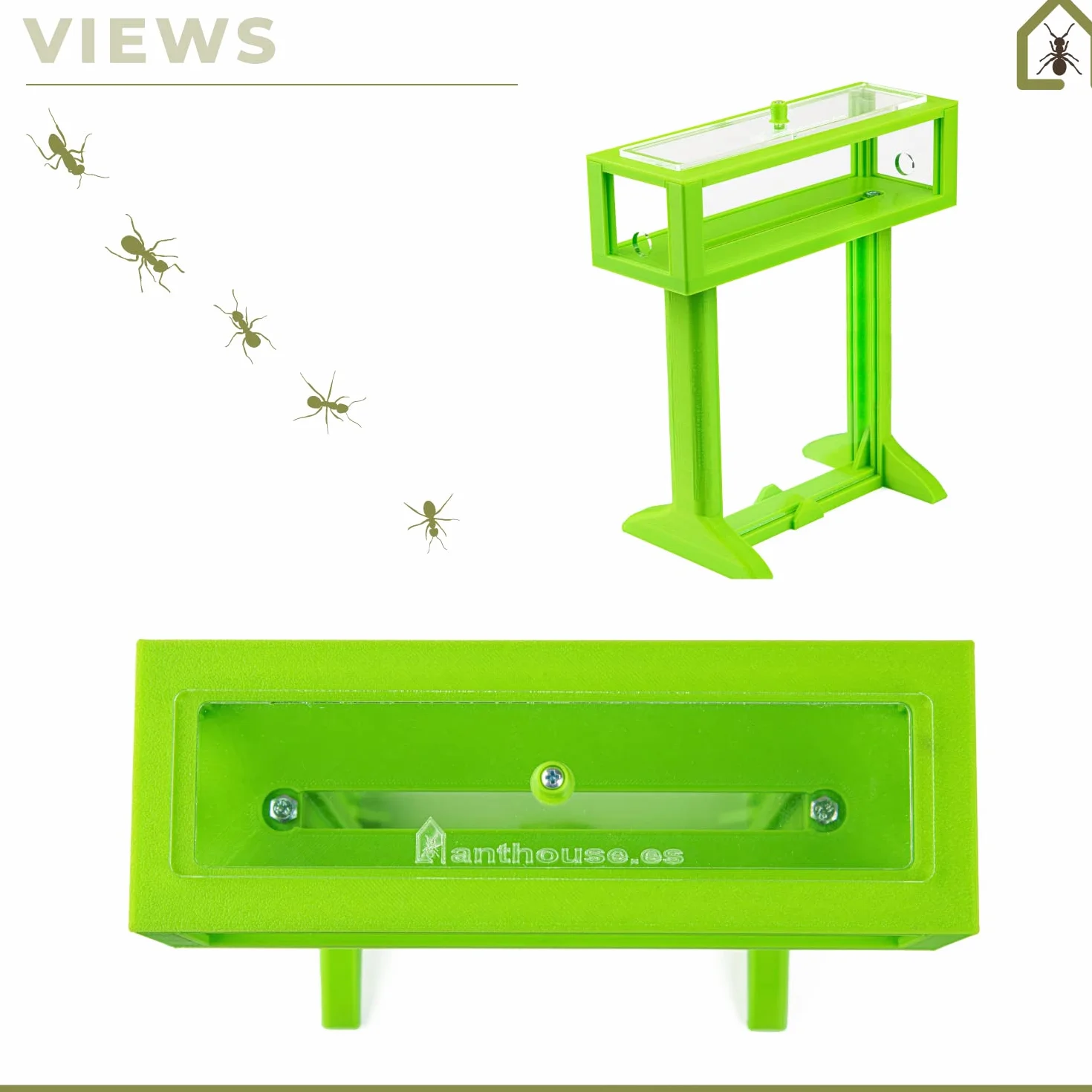 AntHouse - Natürliche Ameisenfarm aus Sand | 3D T Kit 15x15x1,5cm Grau| Inklusive Ameisen