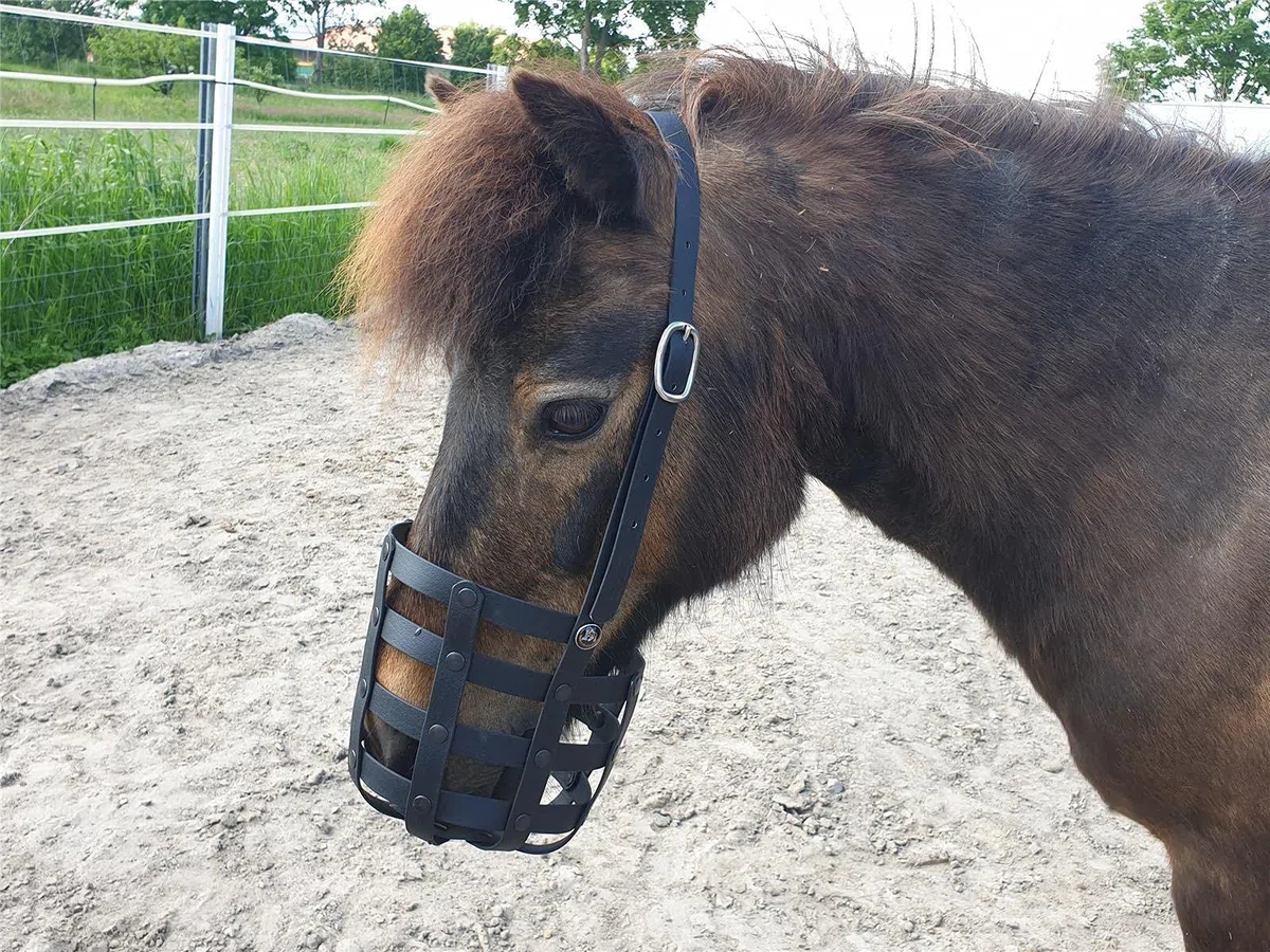 Fressbremse Strong Schwere Warmblüter und Kaltblüter mit Kehlriemen und Standartbodenplatte