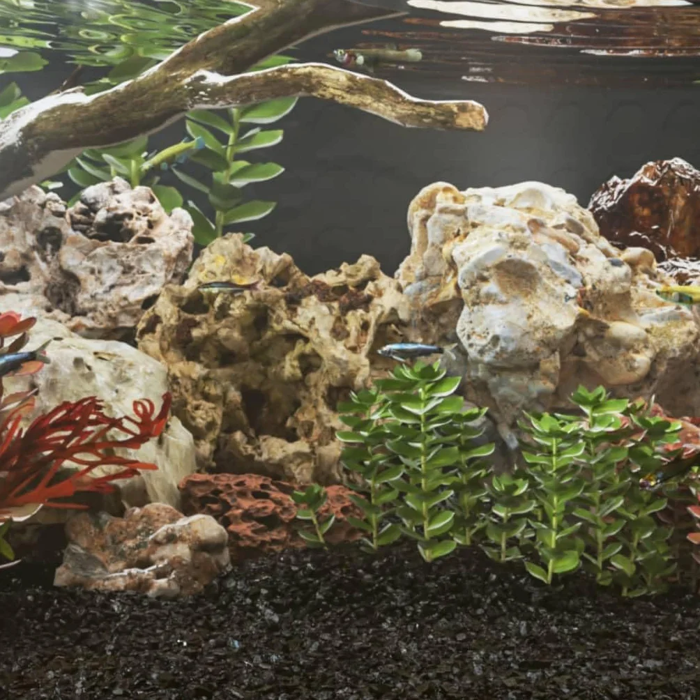 Drachensteine Aquariumdekoration Mehrfarbig 10-30 cm 10 kg Naturstein mit strukturierter Oberfläche für Süßwasser Meerwasser Nano Becken und Aquascaping Versteck für Garnelen Fische