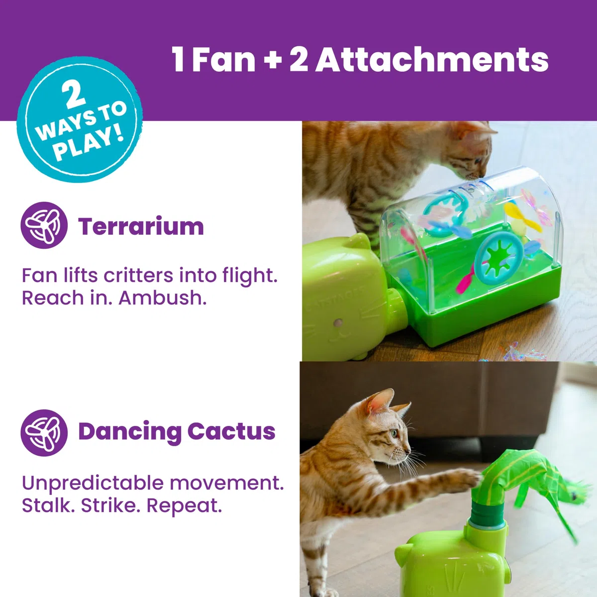 Catstages 2-in-1 Air Blaster Spielset Katzenspielzeug, 2 austauschbare Spielzeuge, Terrarium & Tanzender Kaktus, 1 batteriebetriebener Ventilator