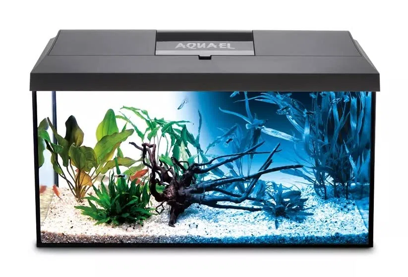 Aquael Aquarium Set Leddy LED komplett inkl. Abdeckung, Filter, Heizer, Day & Night LED (41x25x25cm schwarz)