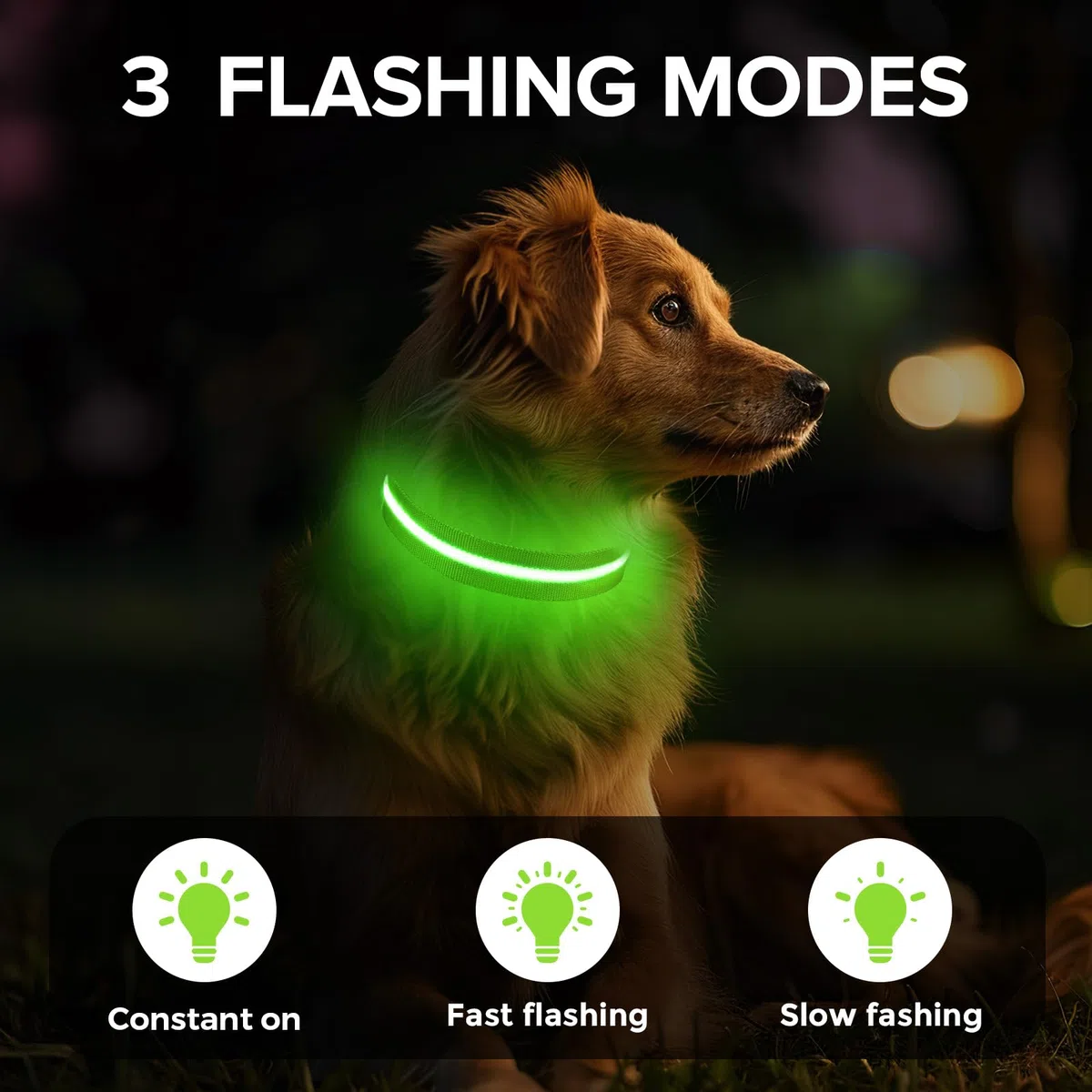 Leuchtendes Hundehalsband für nächtliche Spaziergänge, USB-C-wiederaufladbares LED-Hundehalsband, leuchtet im Dunkeln, wasserdicht, leuchtendes Halsband, verstellbar mit 3 Modi für kleine