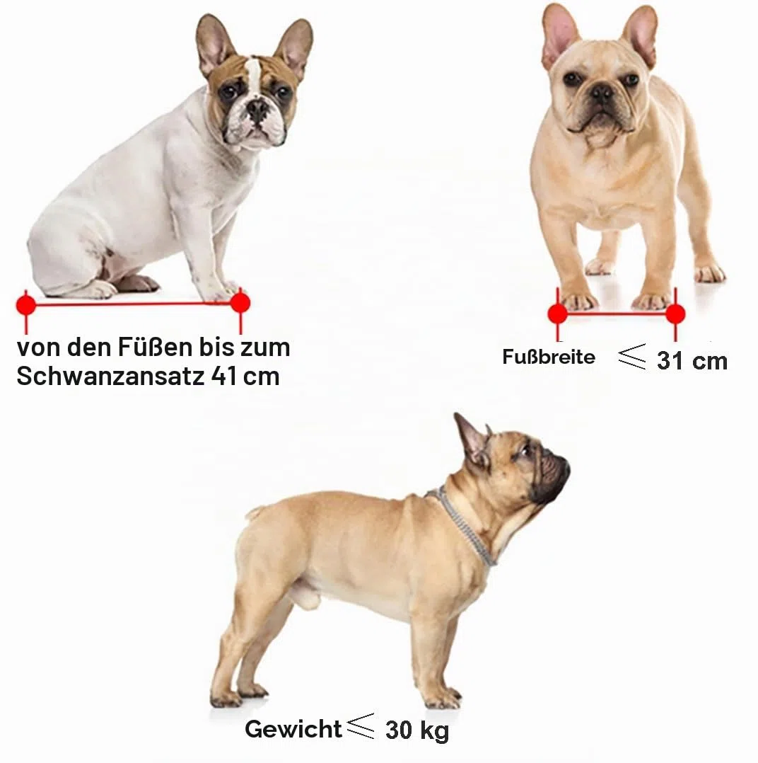 Hund Fahrradkorb Hinten für Hunde & Katzen – Verstellbarer Transportkorb mit Einlage & Schloss – Vielseitiger Gepäck- und Tiertransportkorb für Reisen, Wanderungen, Einkäufe & Hunde,A