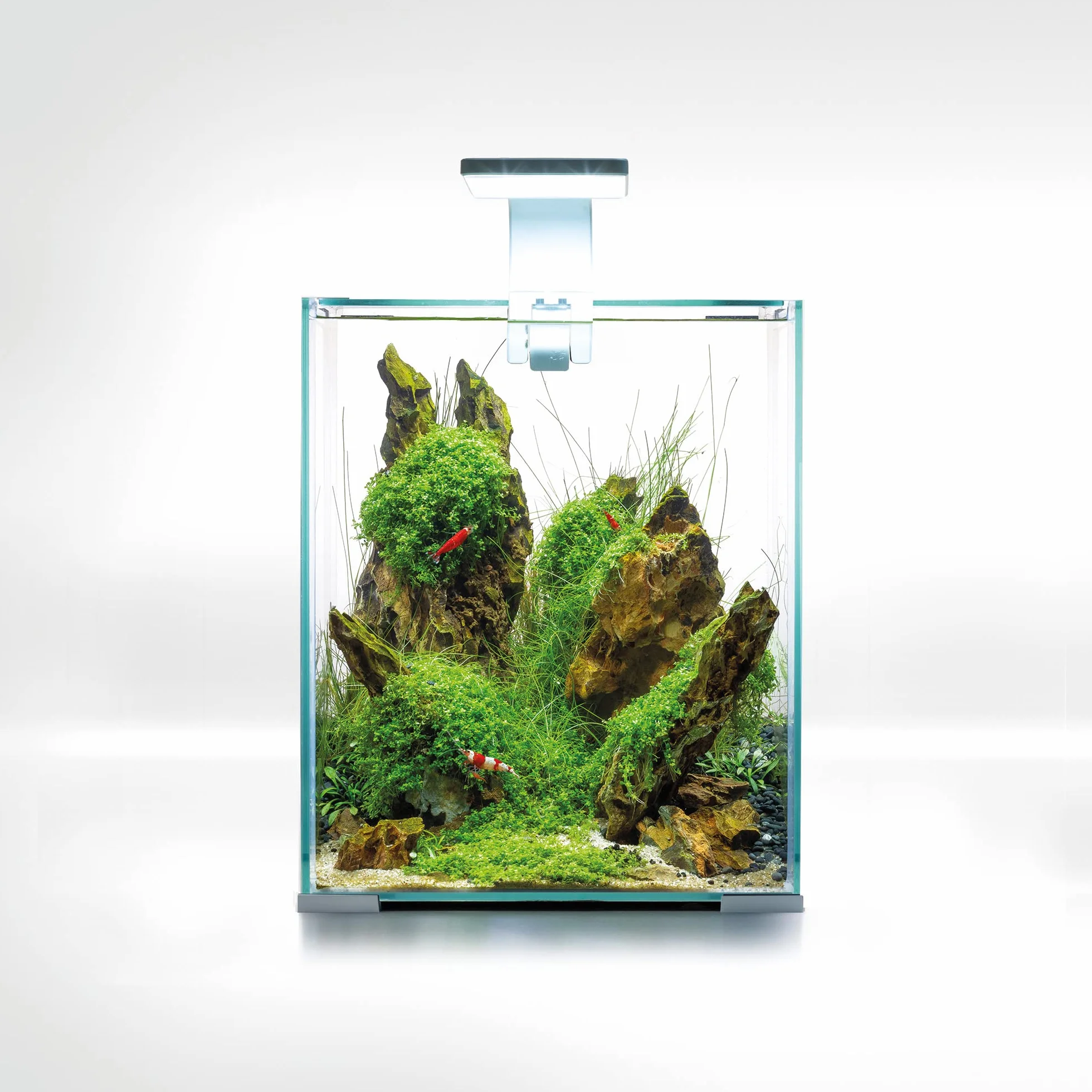 Aquael Shrimp Set SMART D&N 20 Weiss ECOM